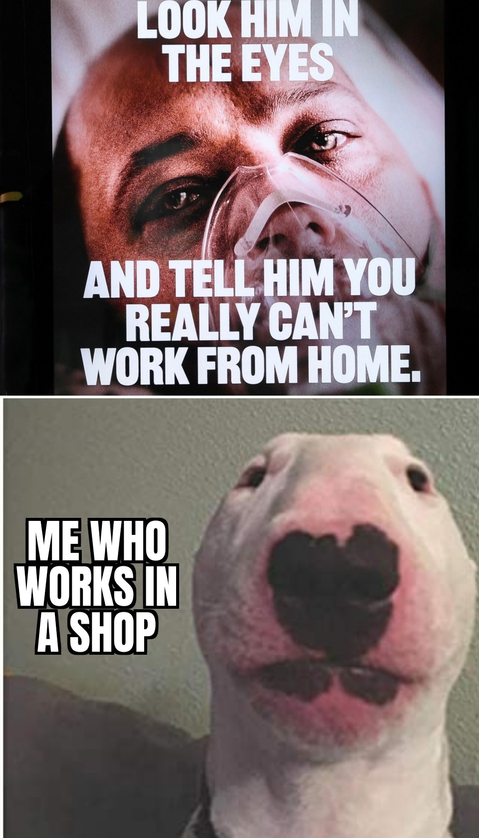 Covid Guy : Understandable Have A Great Day : Dankmemes Covid Guy : Understandable Have A Great Day : Dankmemes