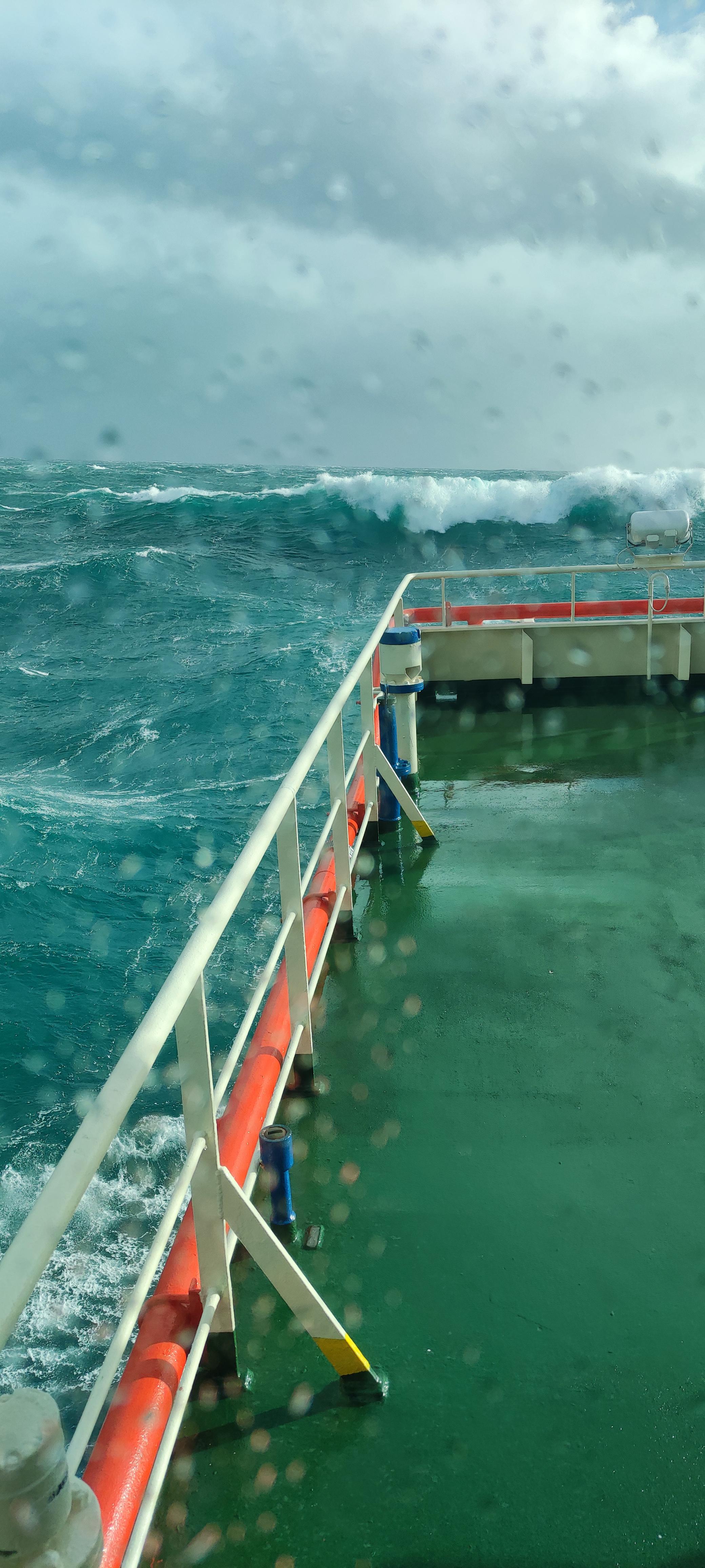 Czym się zawodowo zajmujecie? : rPolska