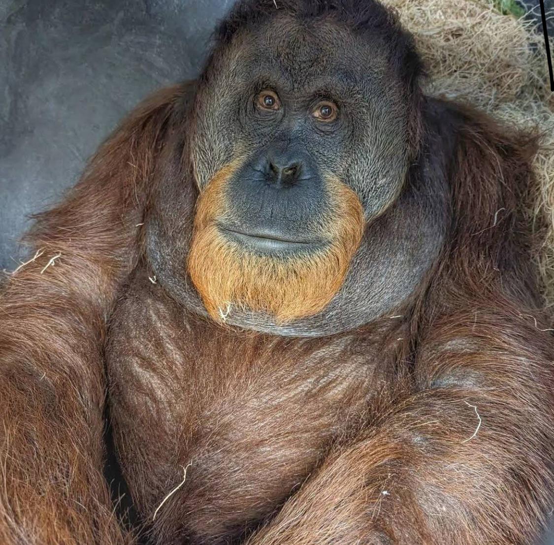 New patch notes just dropped. Clothing sluts is humiliation now. : rforsen