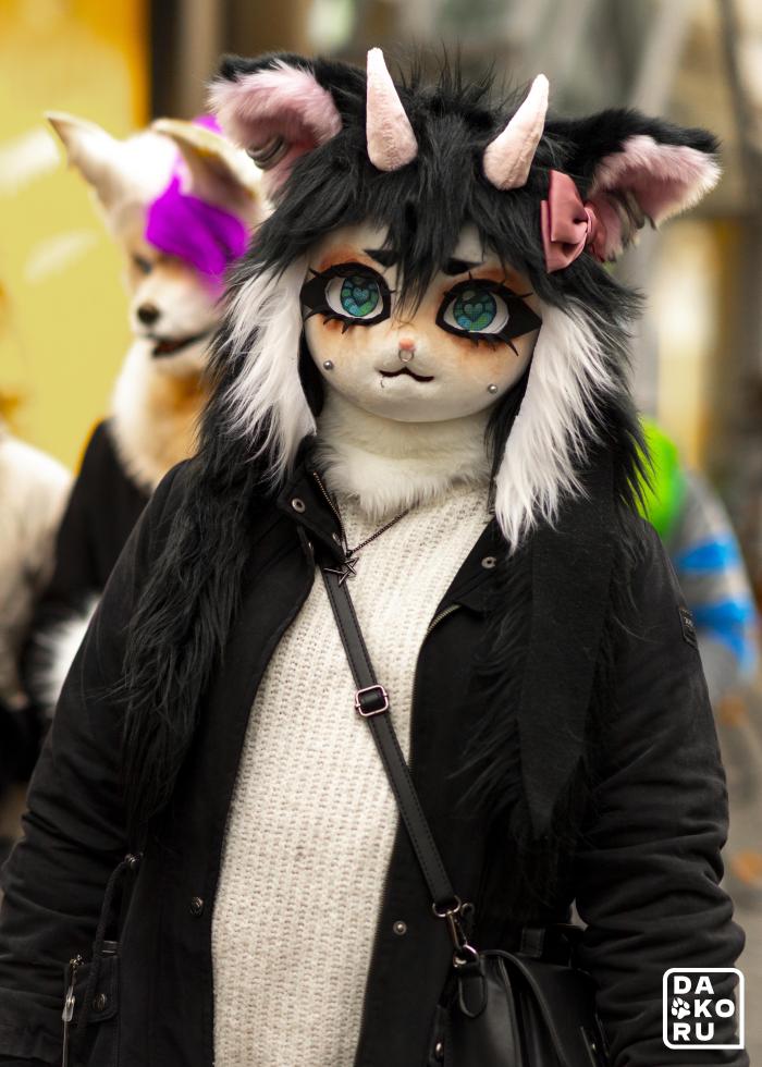 wildkittey