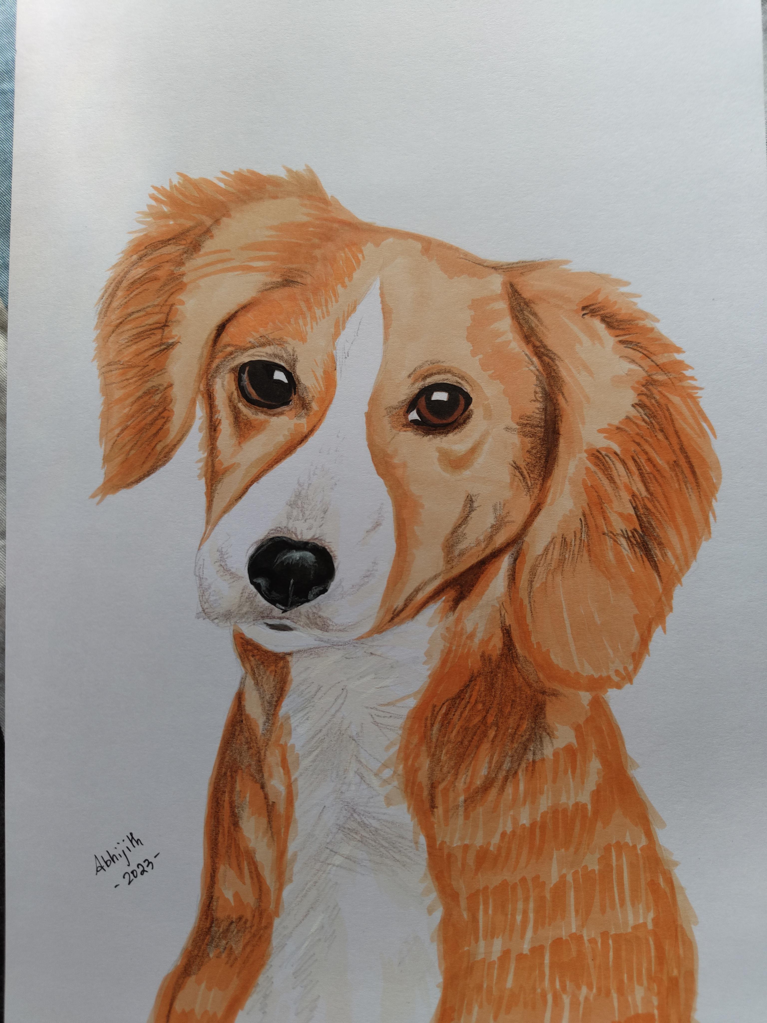 I tried using marker pens on drawing animals :)