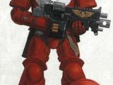 Multiverseofwar