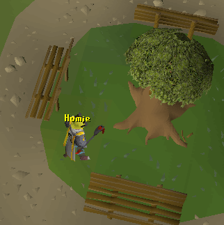 Grand Tree Map Runescape Guide Runehq