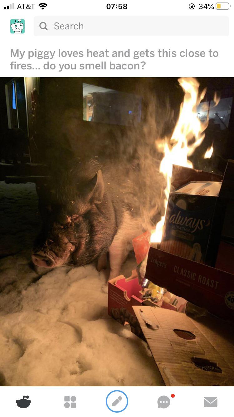 Happiness Is A Warm Butt