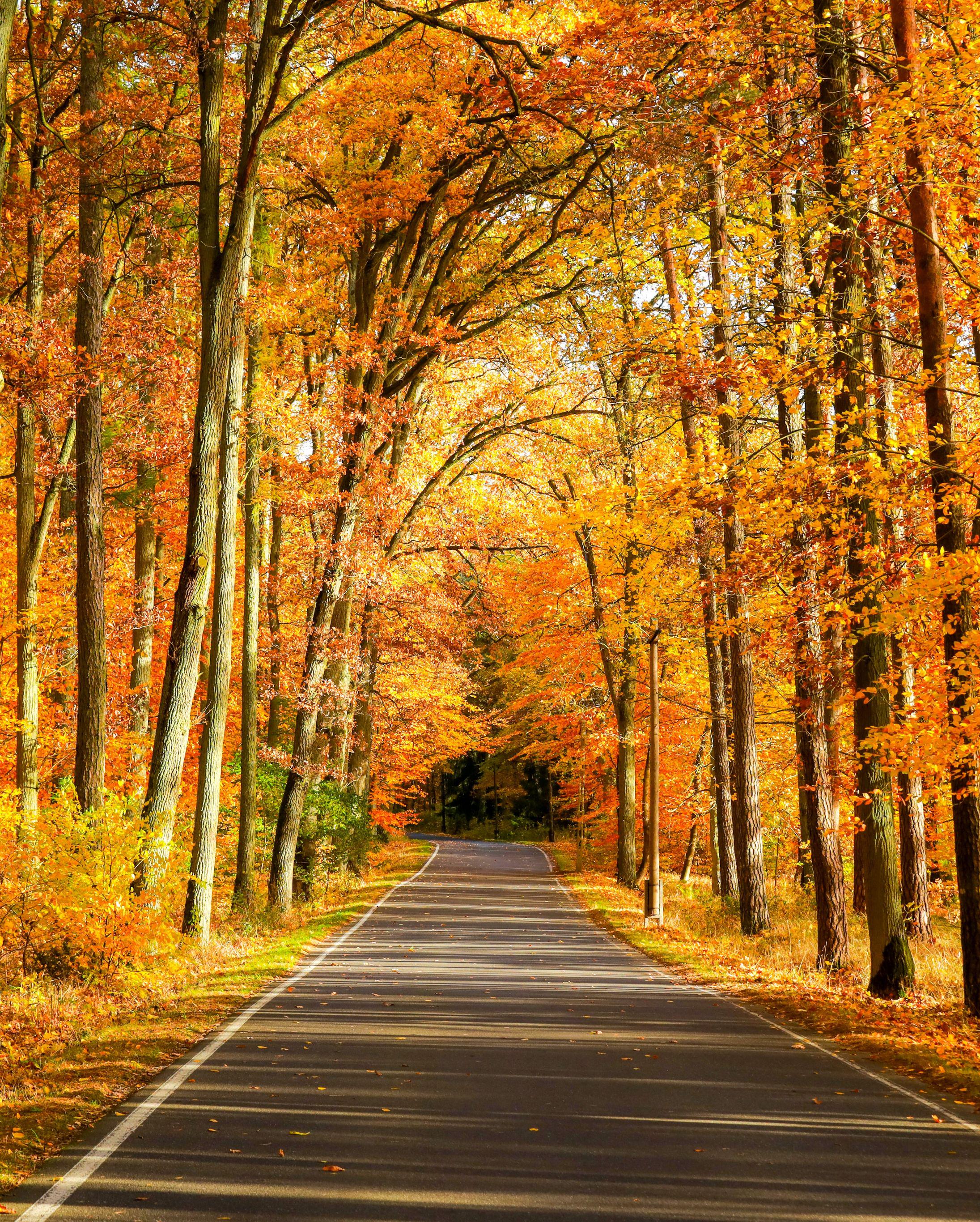 Autumn: the worlds best season