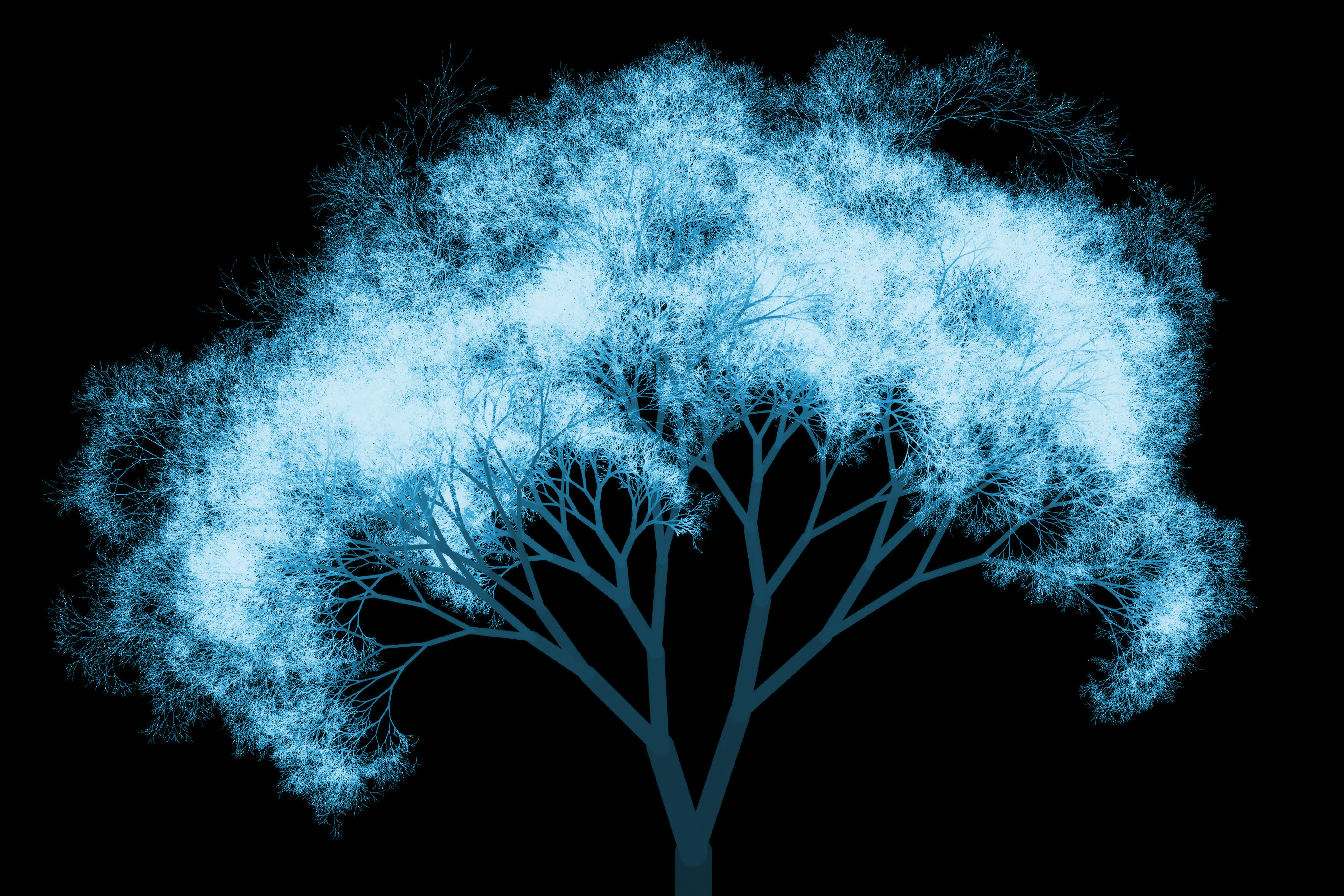 Stuff About Code Minecraft Fractal Trees