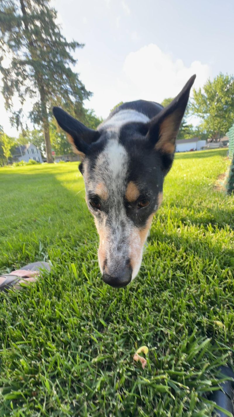 Assertion Messages Confusing When One Operand To Equal Is Mutated - Classic Full HD City Photos | Free Download