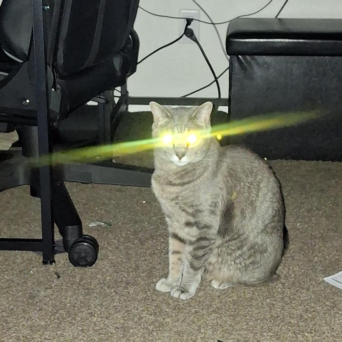 thekatmaster