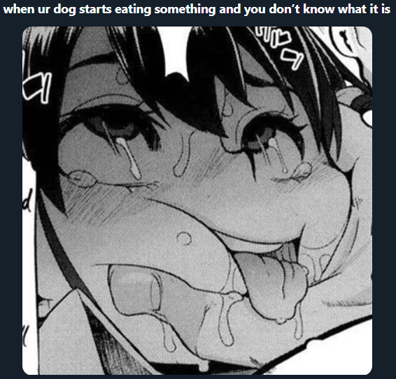 Who here has actually read 177013? : r/Animemes