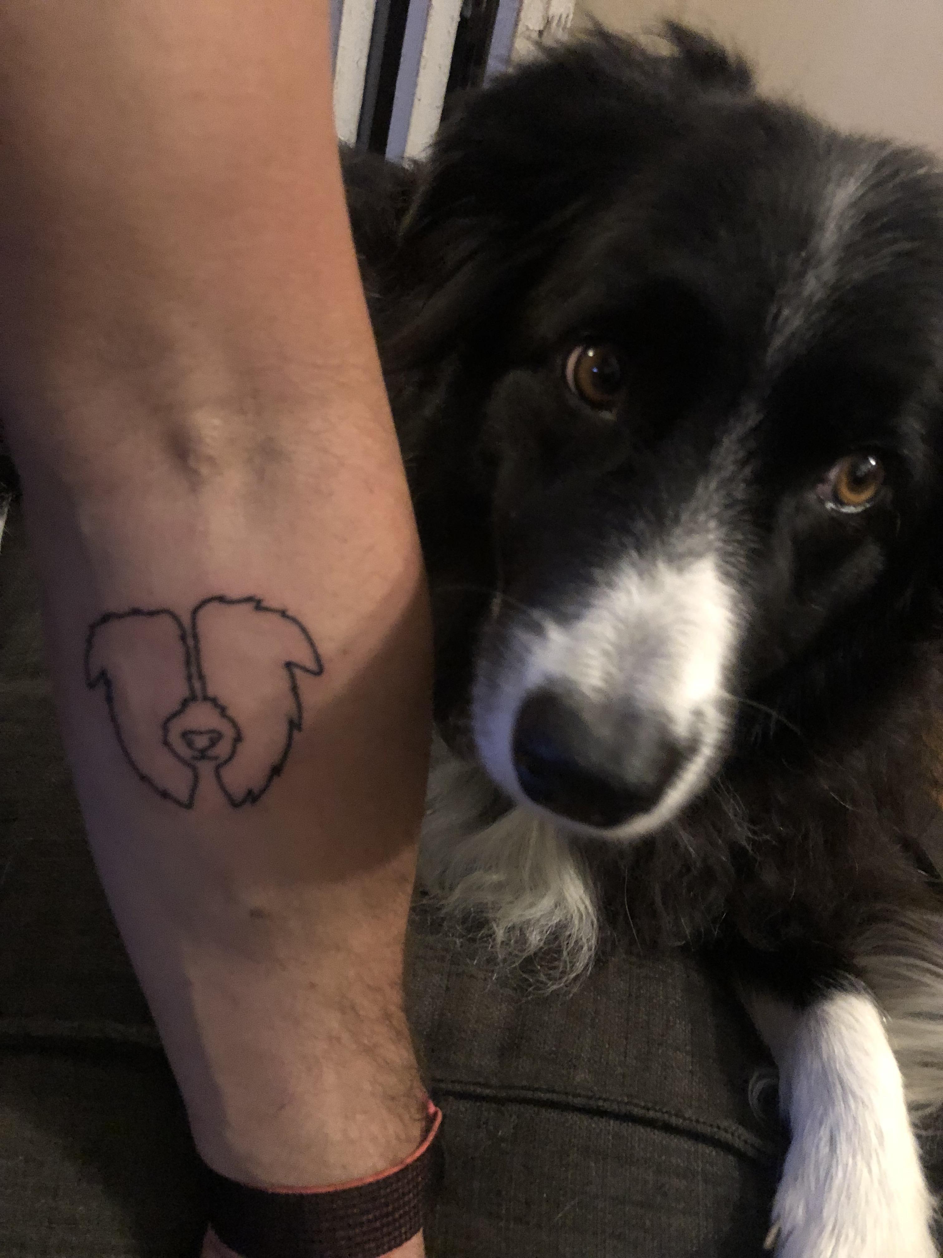 Border collie na costela tatuagem 20 Border Collie Tattoos Ideas Border Collie Collie Border