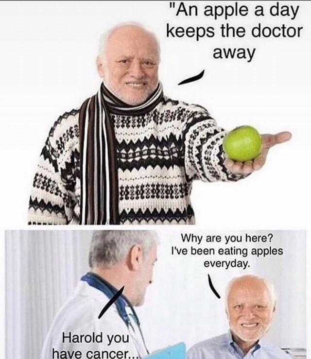 Avoir Images Hide The Pain Harold For Meme Of The Decade Memes actualisé par