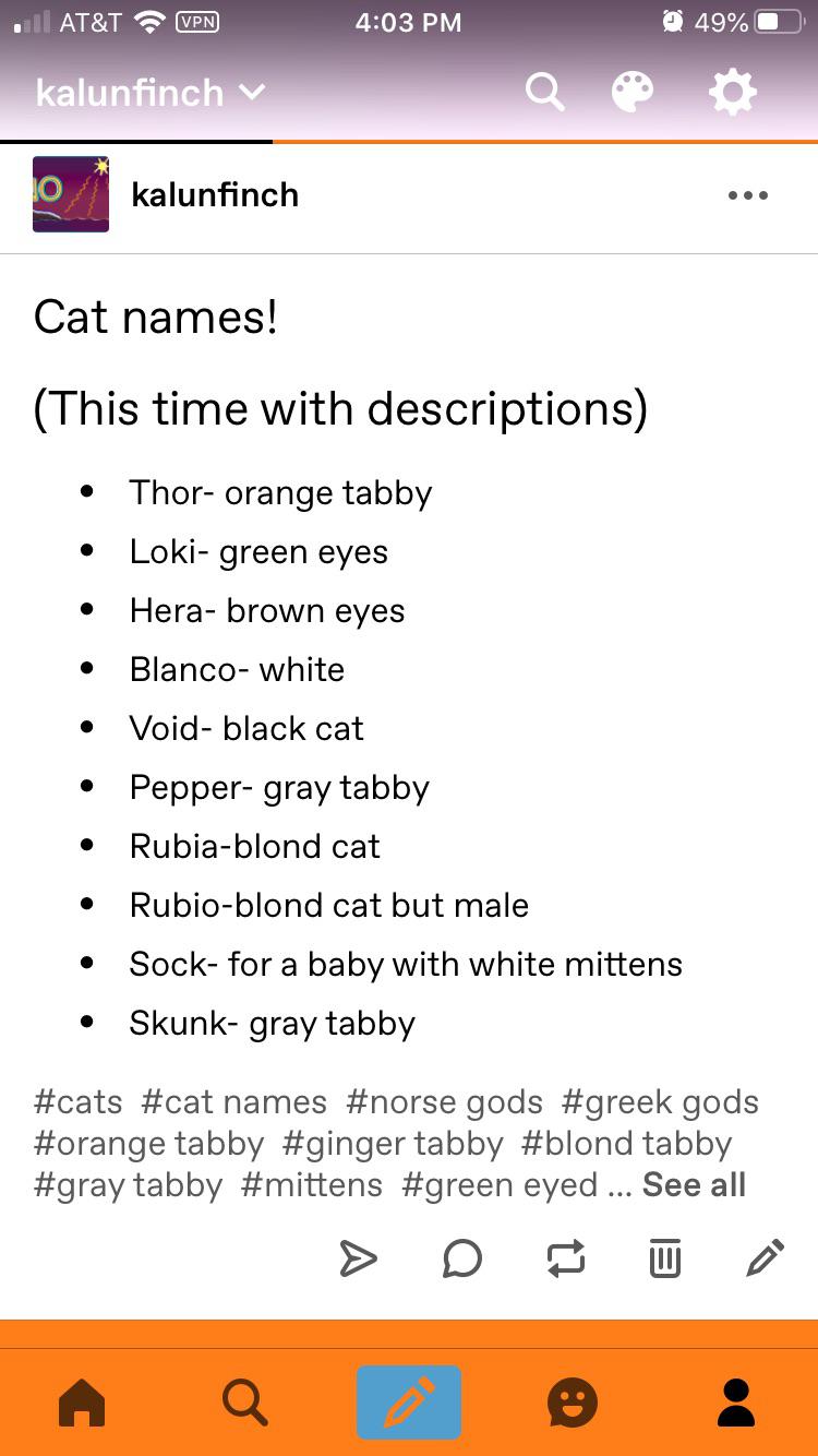 400 Cat Names Ideas For Male And Female Cats Kitten Names Girl Cute Cat Names Girl Cat Names
