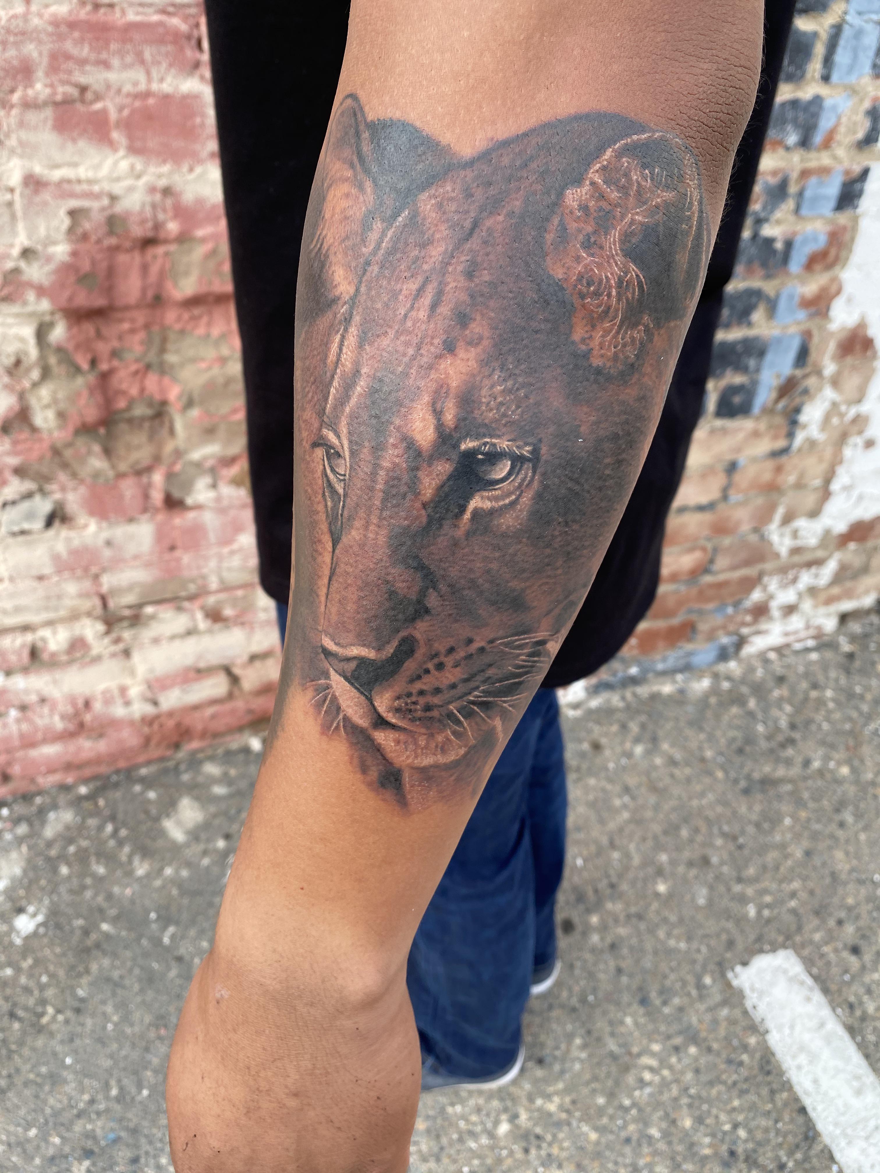 Continuation Of My Animal Themed Sleeve Lioness By Greg Sumii At Liquid Fetish Fresno Ca Tattoos
