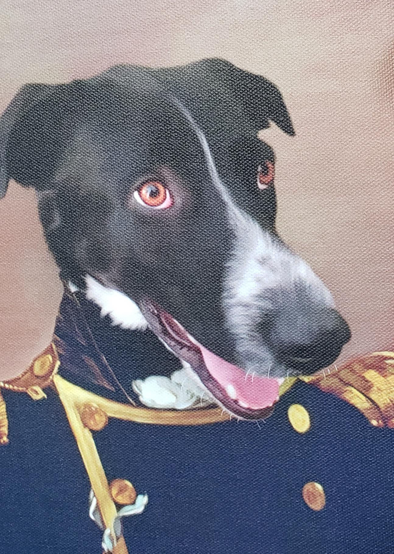 My Sister Sent Me A Present That S My Dog Milo In Fancy Clothes Funny