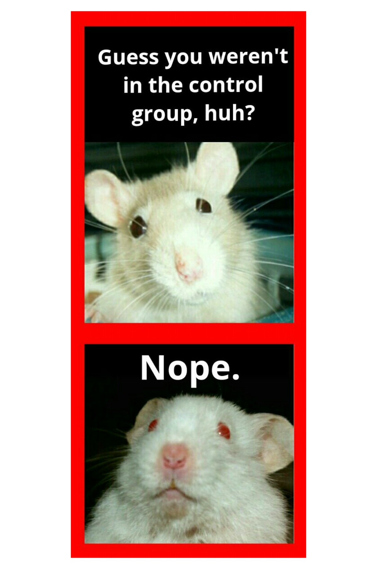 Biden finally breaks down and visits a remote northern native village. Lab Rat Life R Memes