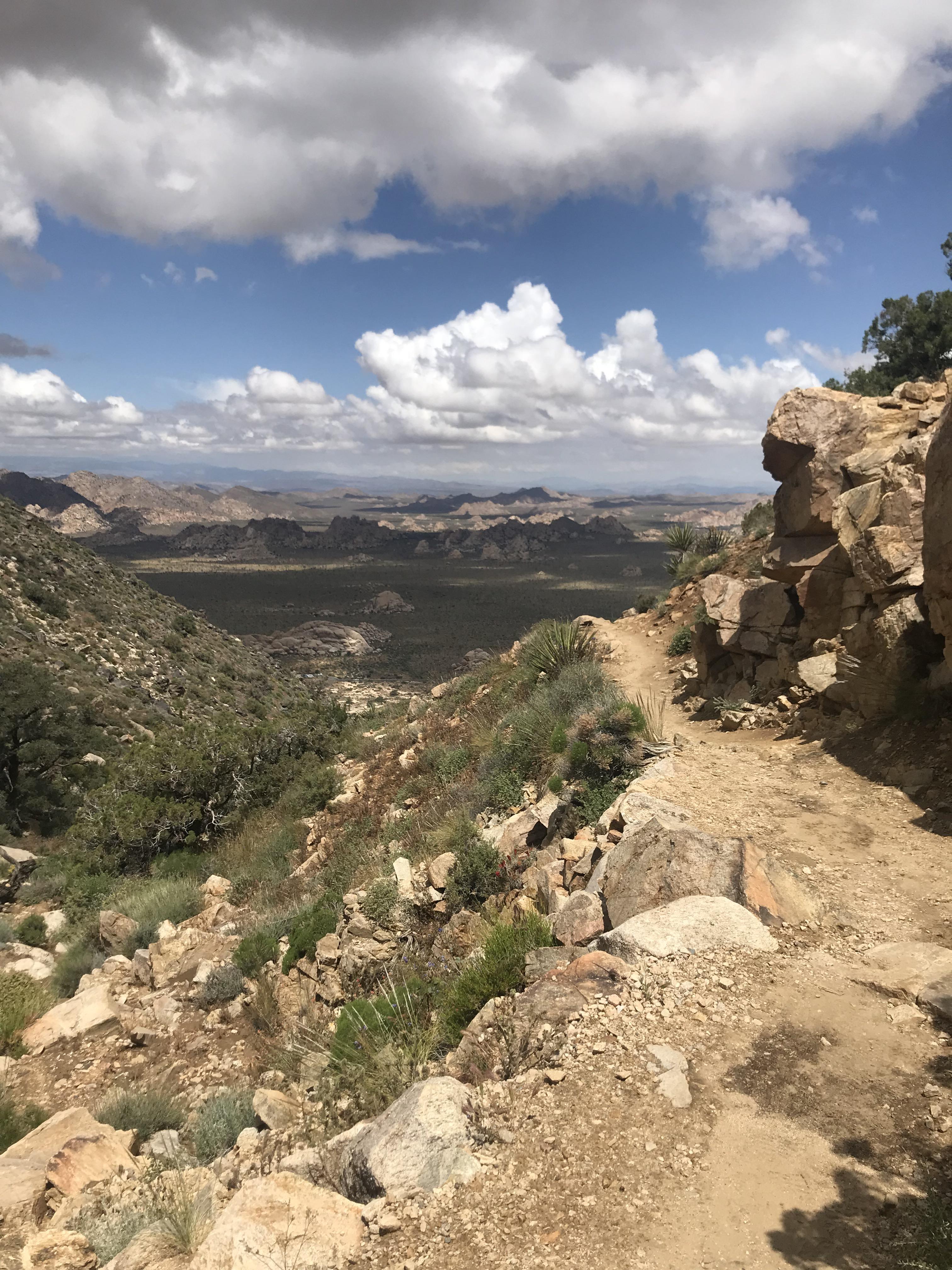 Rv Camping In Joshua Tree National Park Cruise America