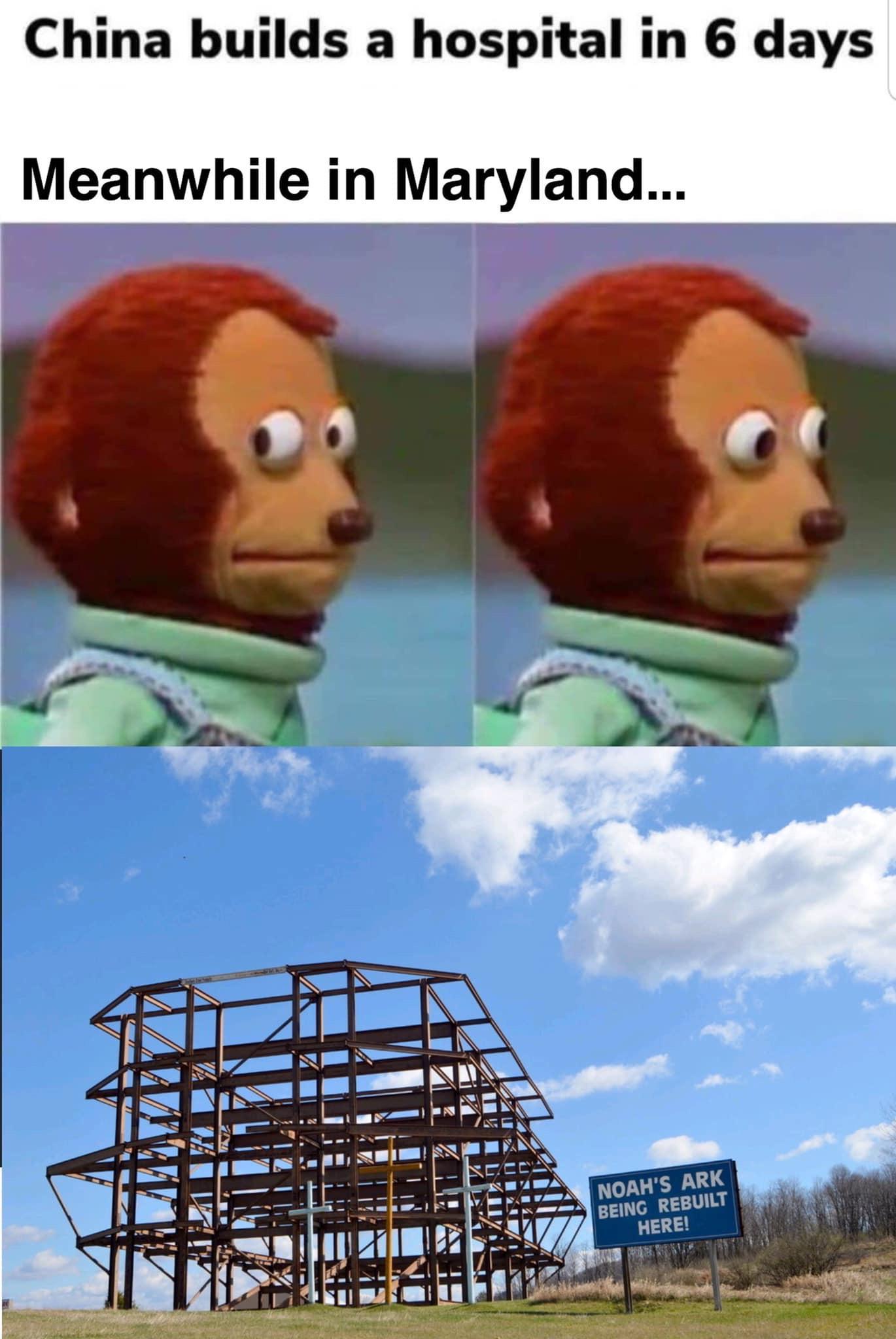 Noah's Ark : Maryland