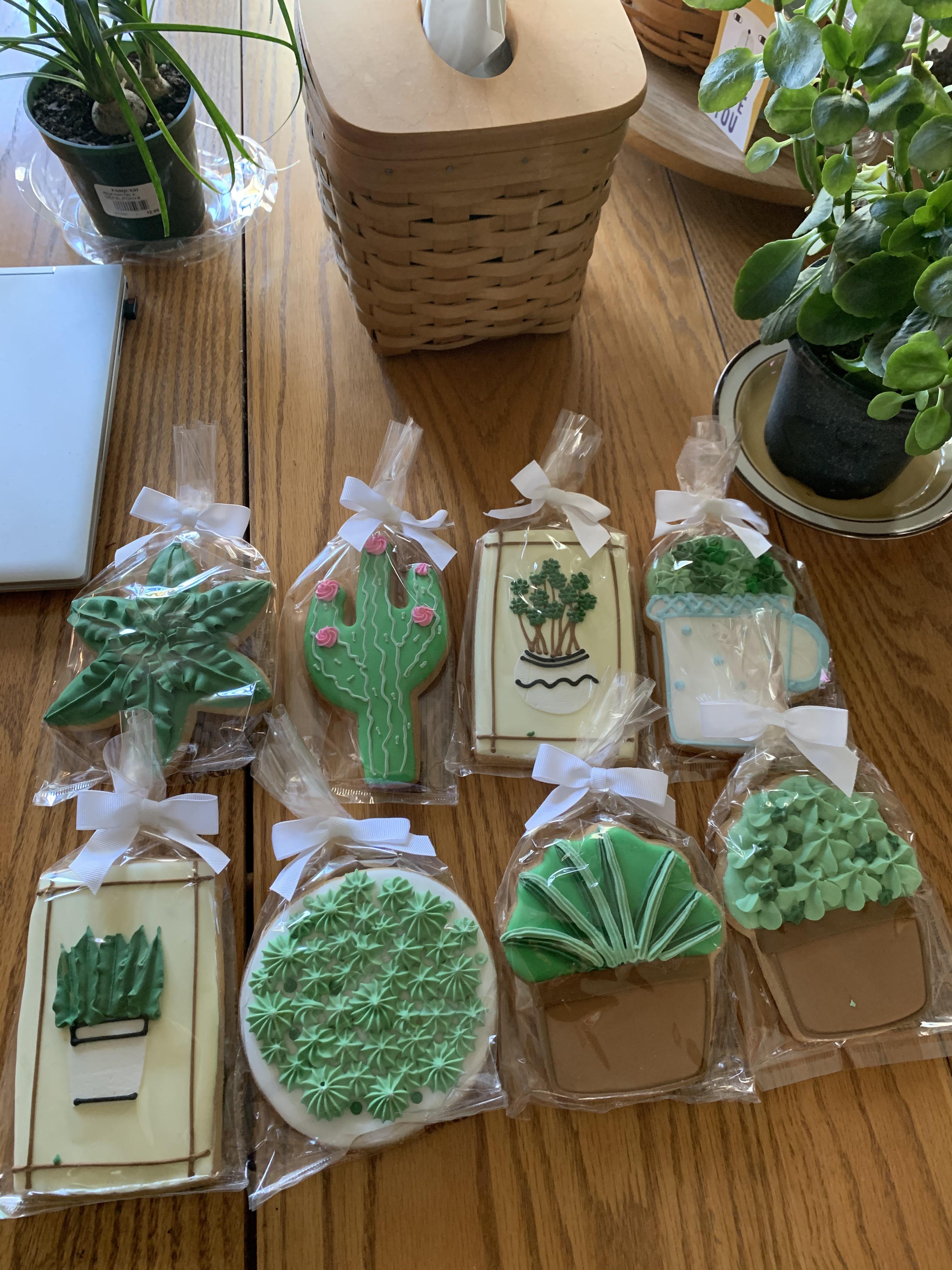 Our popular sugar cookies (with the perfect hint of lemon) are frosted with our vanilla cream cheese icing. My 20th Is Tomorrow My Mom Got Me These Succulent Cookies Since I M Not A Cake Person I Even Had A Plant That Matched One R Succulents