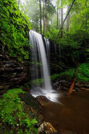 Rainy day hikes, Pennsylvania, USA, [OC], 3912×5868,