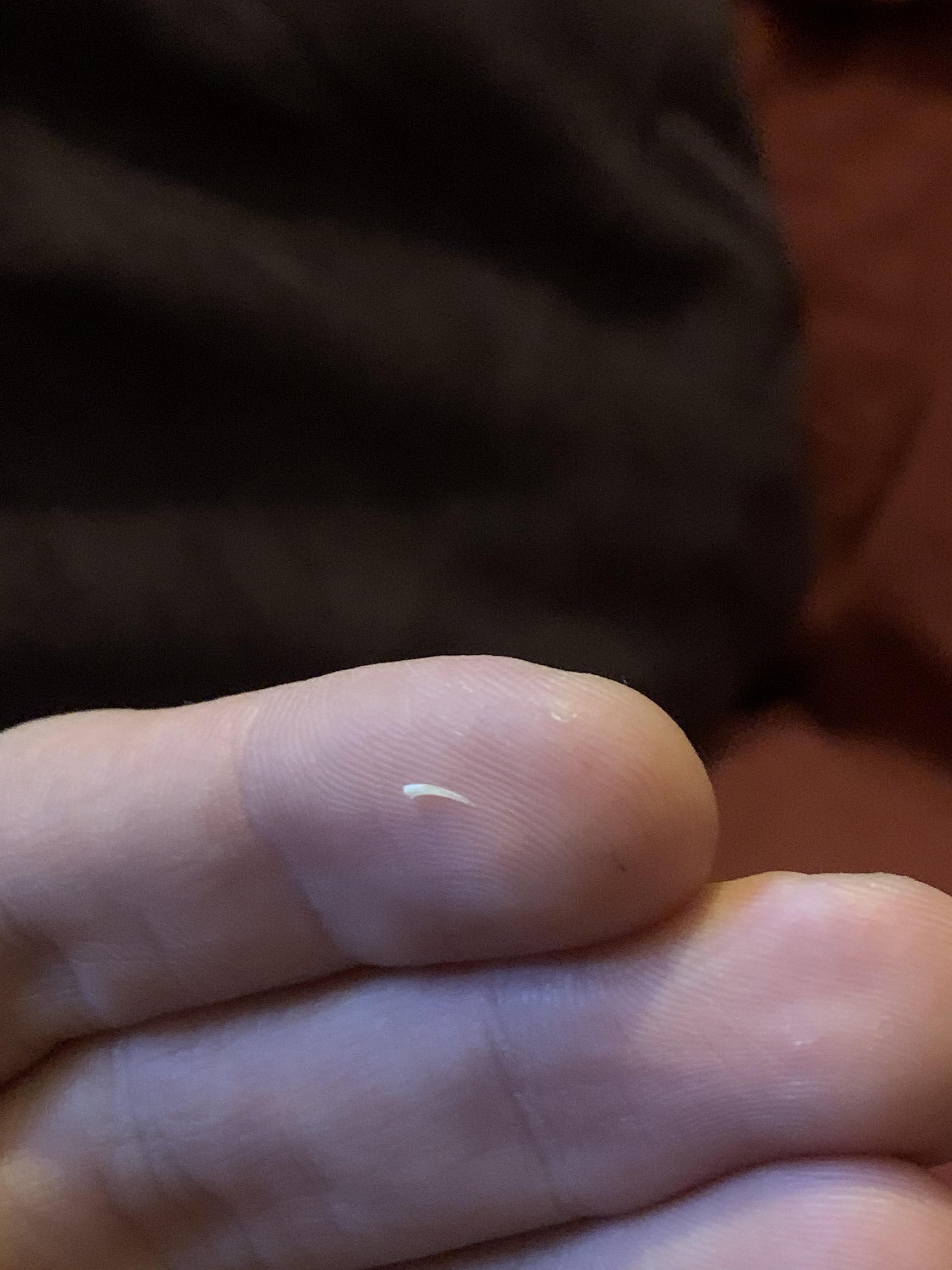 Expert Care For Amazon Tree Boas Reptiles Magazine