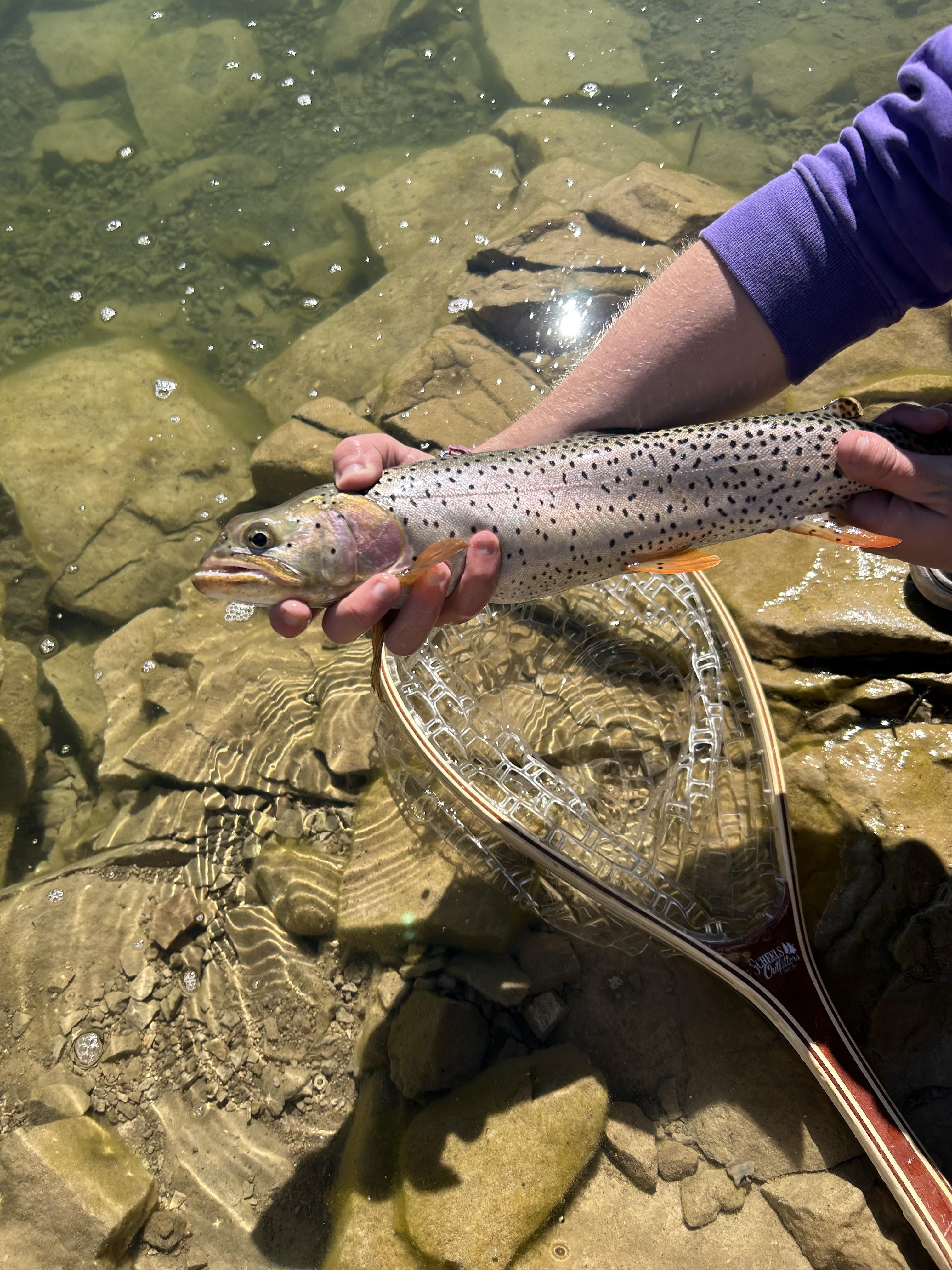 Toofless : r/Fishing