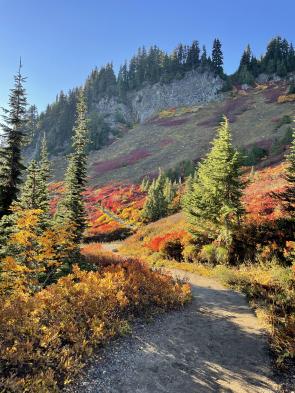 Autumn in Mount Rainier National Park [4284×5712] [OC] IG: james.petrick.photography