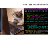 Relatable Meme R Programmerhumor
