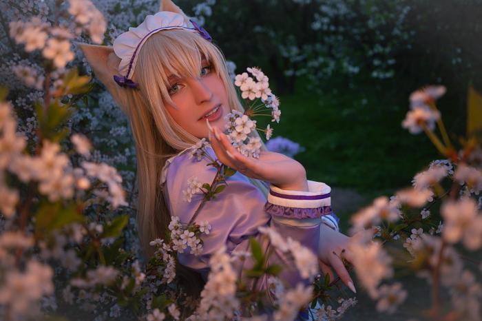 kitsune_coconut