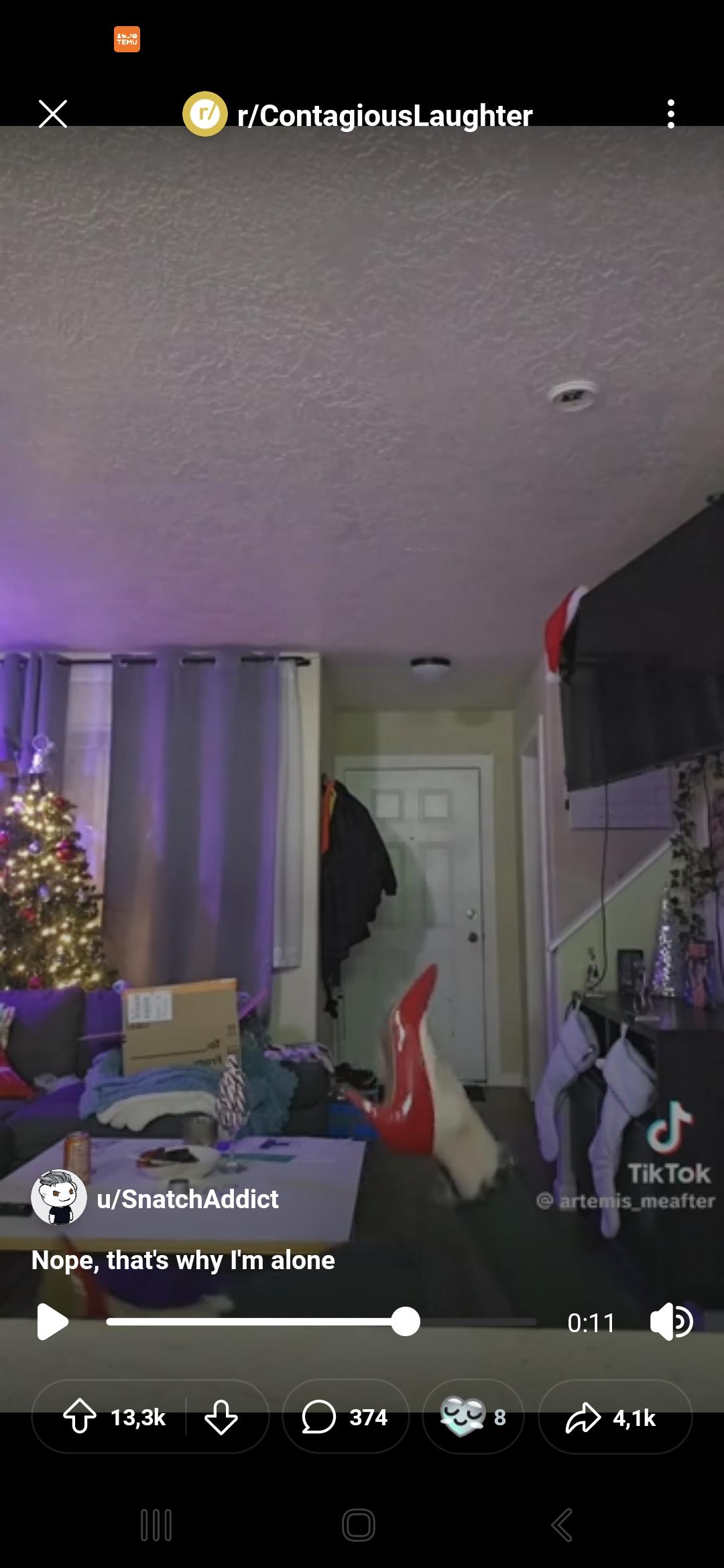 Nope, thats why Im alone : rContagiousLaughter