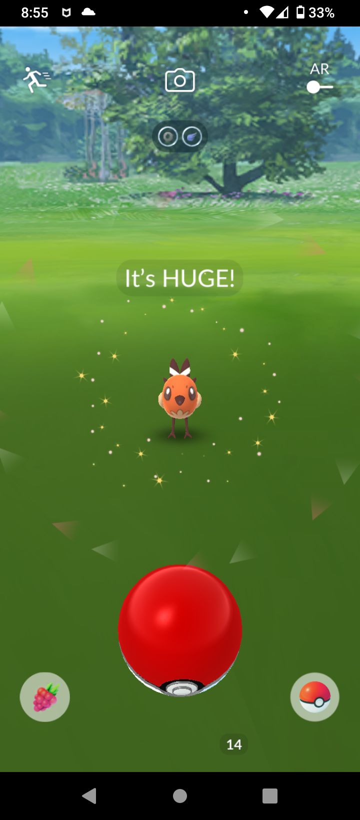 Its Tiny R Pokemongo - Premium Sunset Photo - 4K