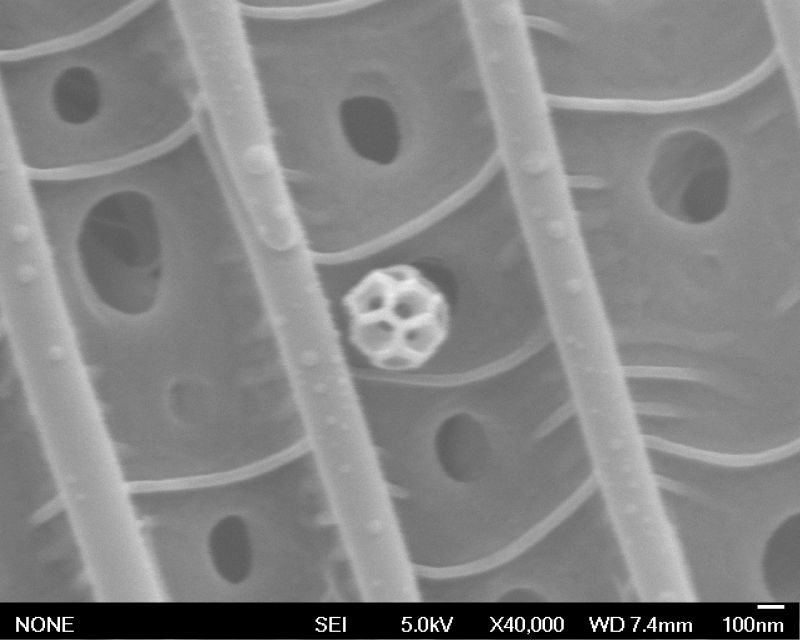 Cool Find R Microscopy - Ultra HD Full HD Sunset Designs | Free Download