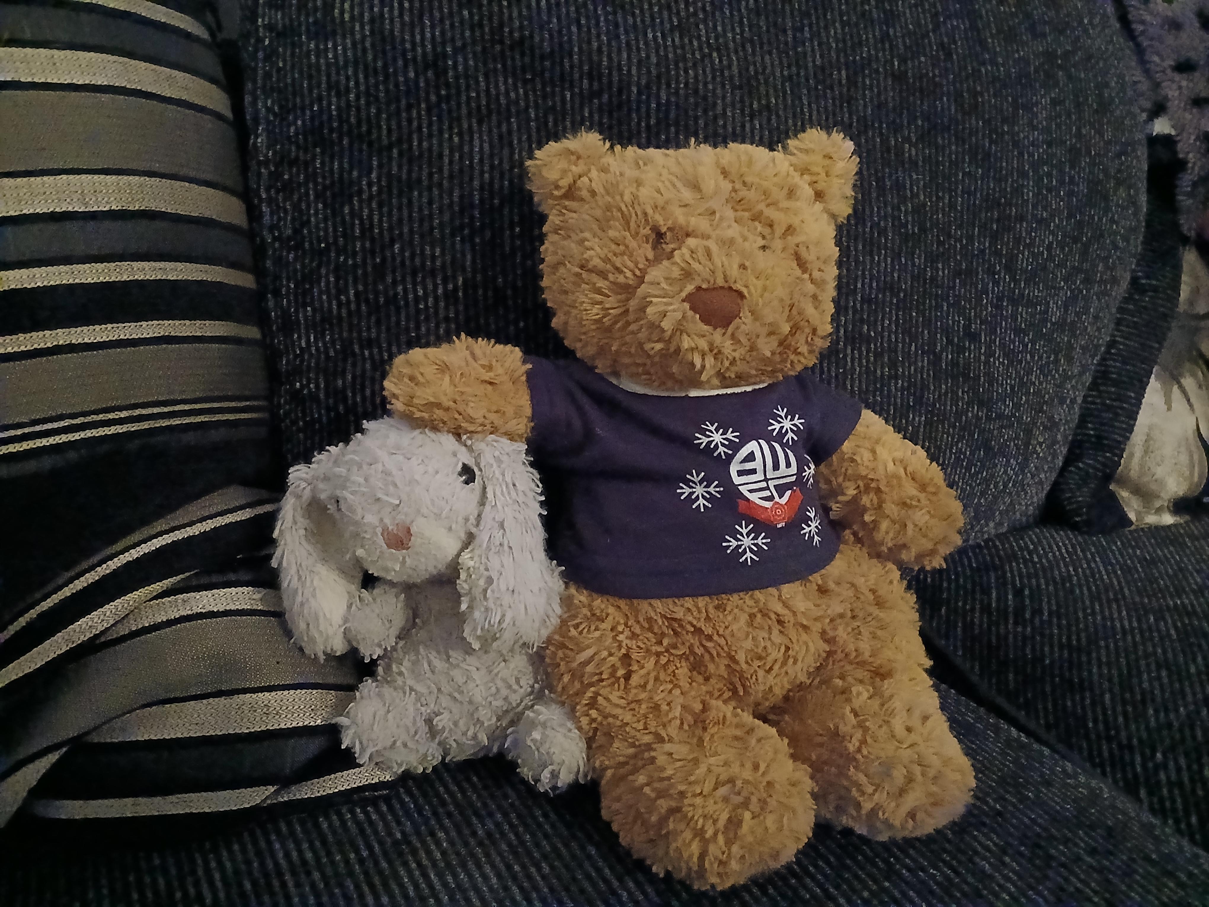 Taking stuffed animals in public (vent) : rplushies