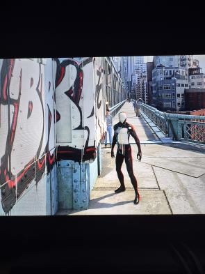 I found a bug in downtown brooklyn