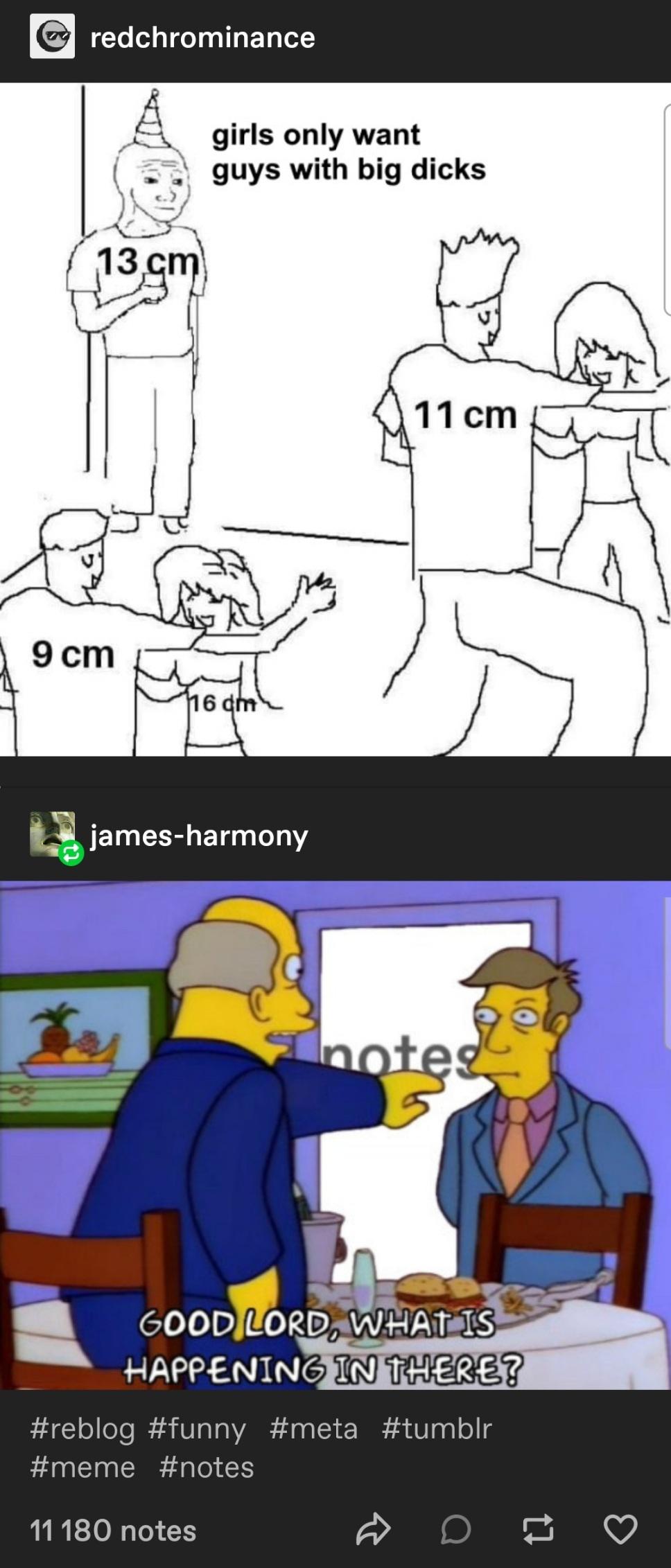 Girls and big dicks : rCuratedTumblr