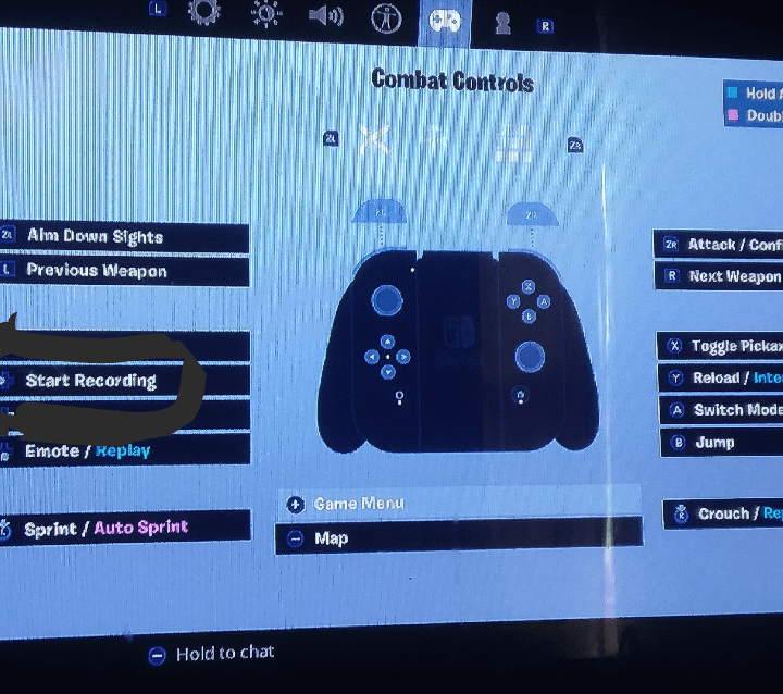 I Was Choosing A Controller Setting For My Nintendo Switch And This Was 