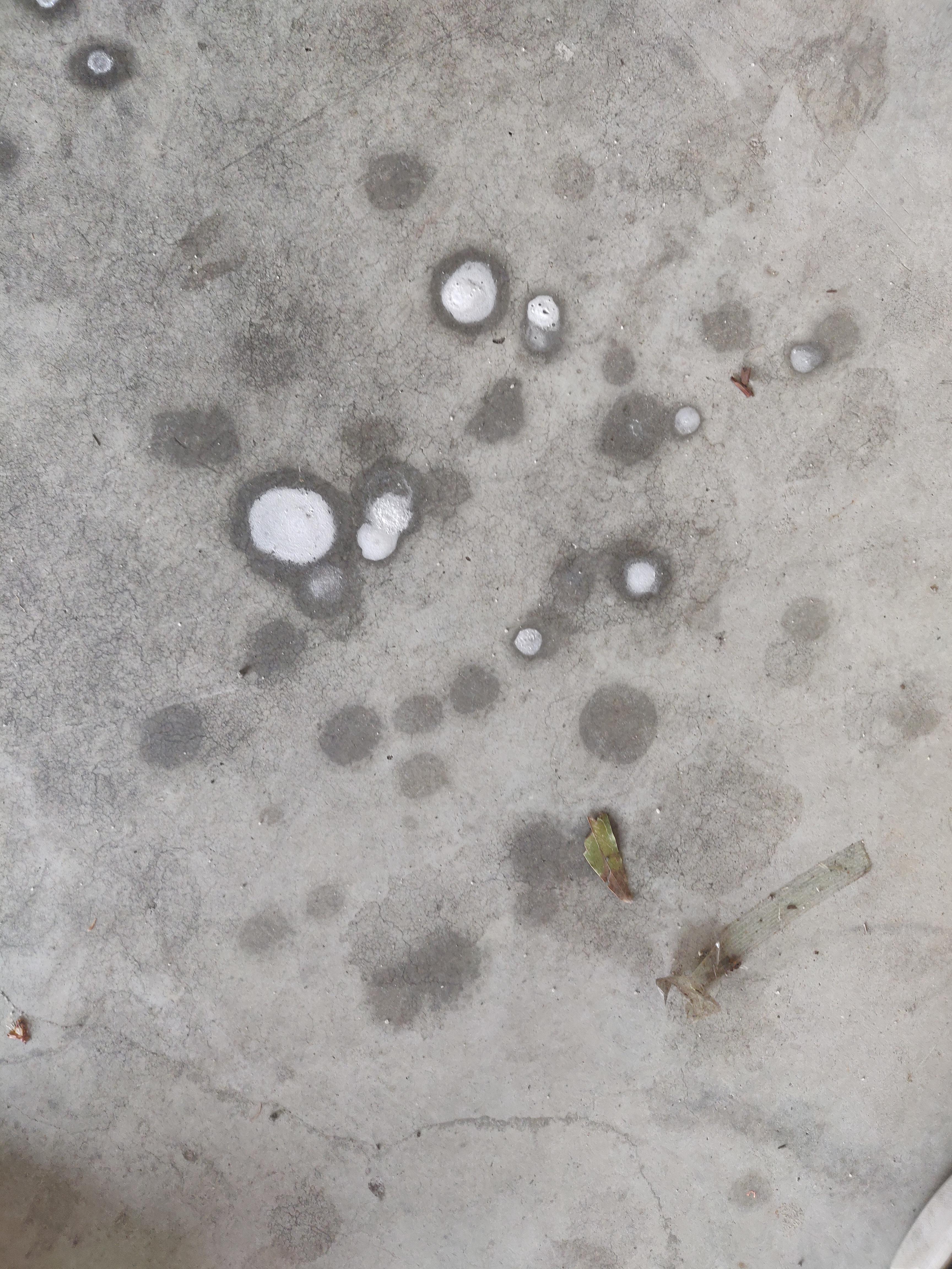 hey guysgals need some advice on what this could possibly be i drive a vw golf mk5 tdi 20 i know there is an oil leak from the gearbox which im currently on car leaking oil when parked reddit