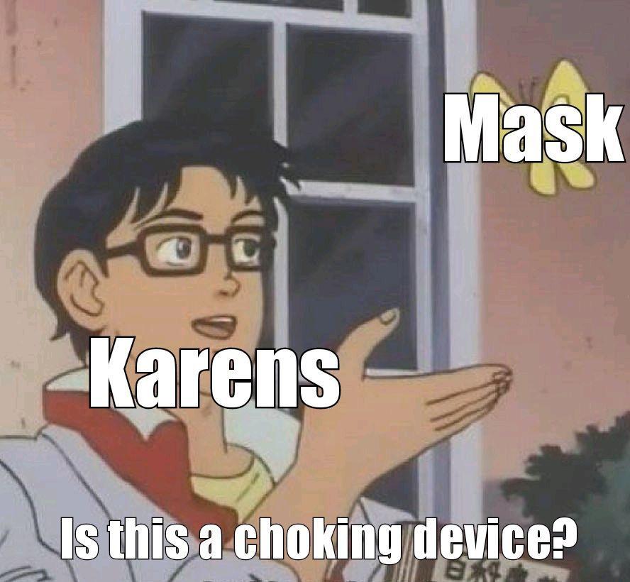 I wish a karen would shirt, not today karen, ok karen tshirt, karen meme t shirt, speak to the manager tee, sarcastic funny sayings shirts. Typical Karen Quotes R Memes
