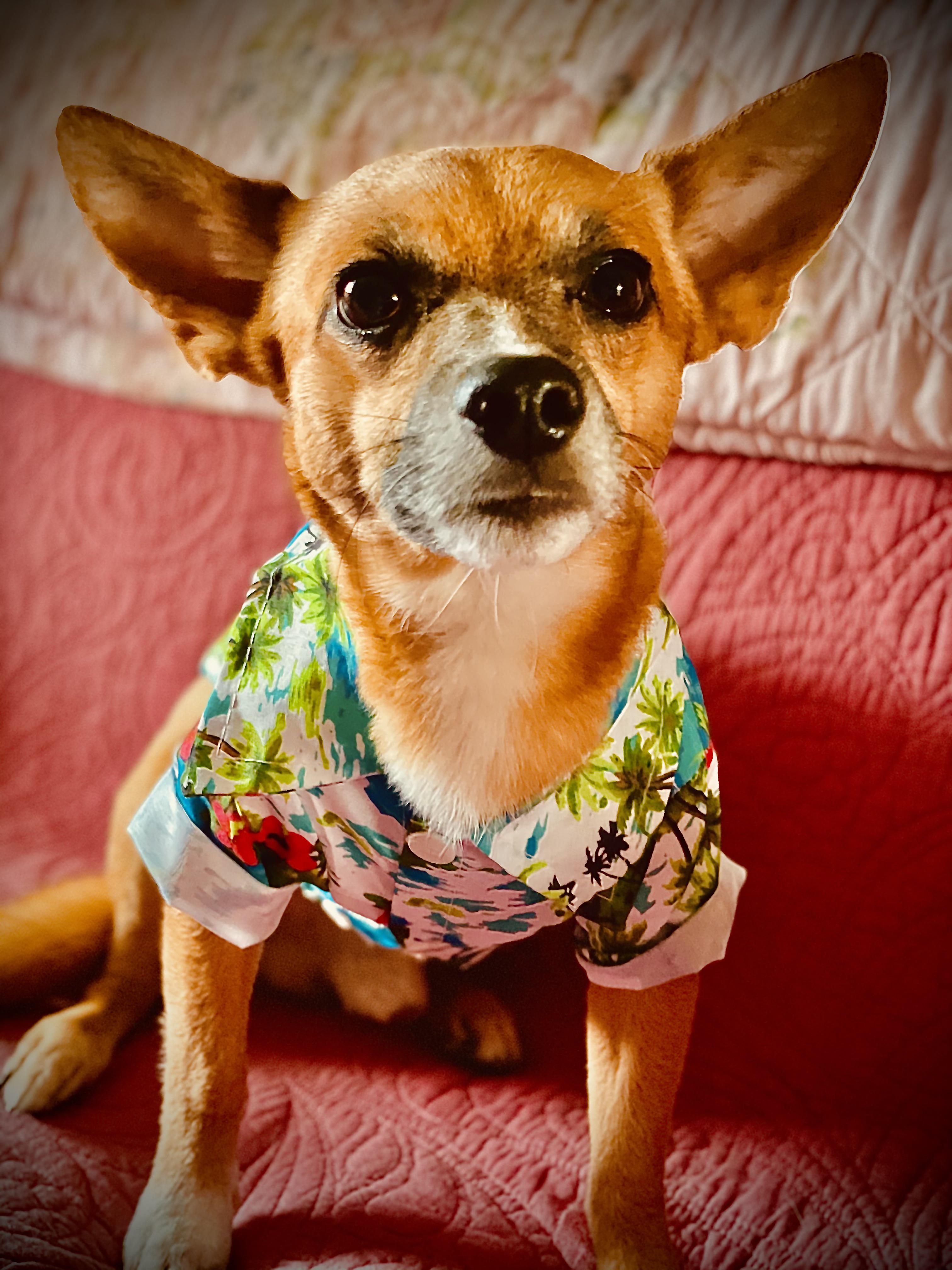 The more you look, the more hilarious it gets! : rFirstResponderCringe