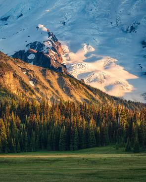From Meadow to Glacier, Golden Hour, Mount Rainier NP [4672×5840][OC]