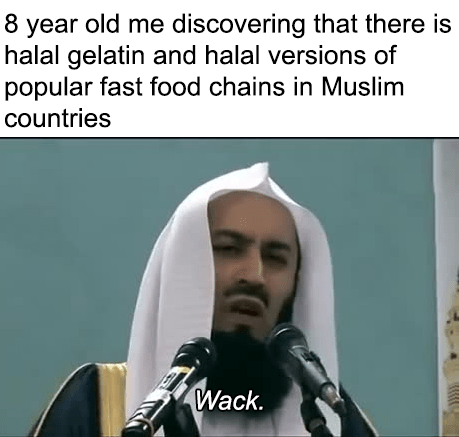 #halalinvest #crypto #cro #cryptodotcom #halal #haram. Mufti Menk Meme Monday #1 : Izlam