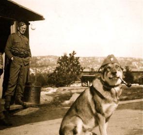 My great grandfather (Sweden 1943)