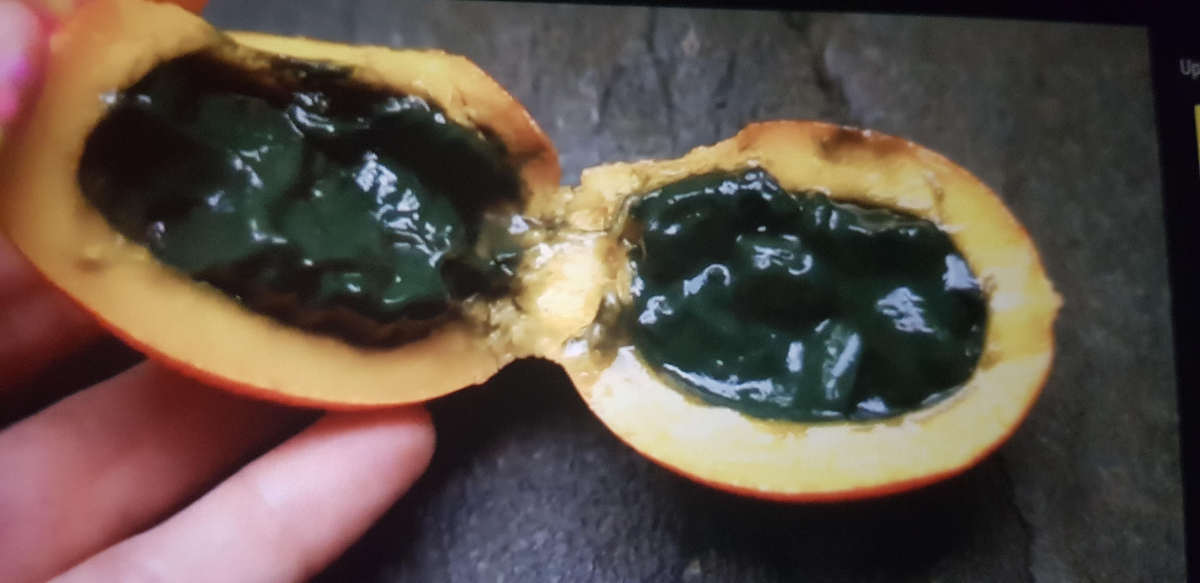 Not the whole plant but a fruit, native to australia, can't find