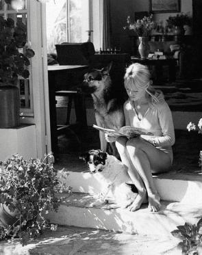 Brigitte Bardot Années 60