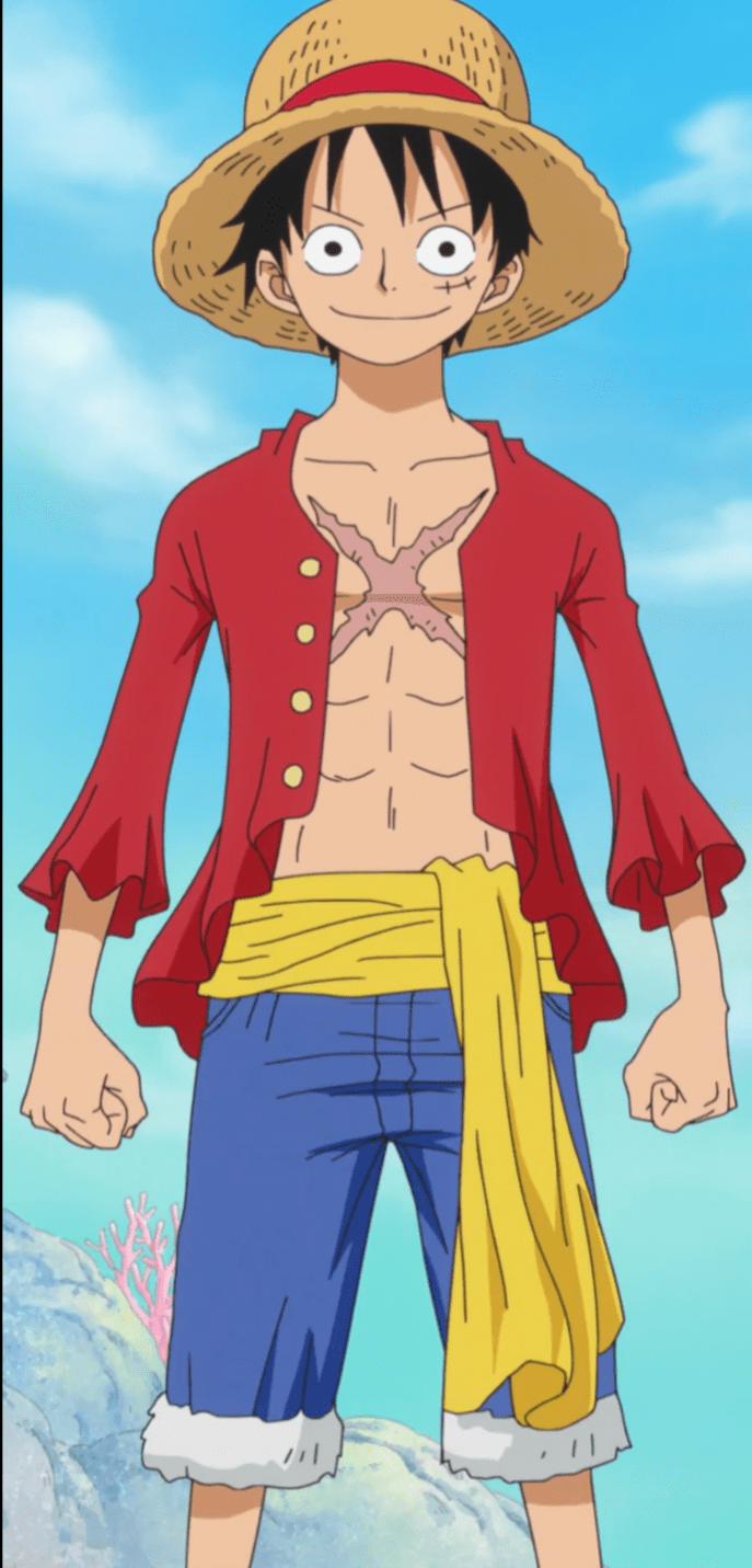 Why doesnt Luffy use the gum gum fruit to increase the size of his penis?  : ranimecirclejerk