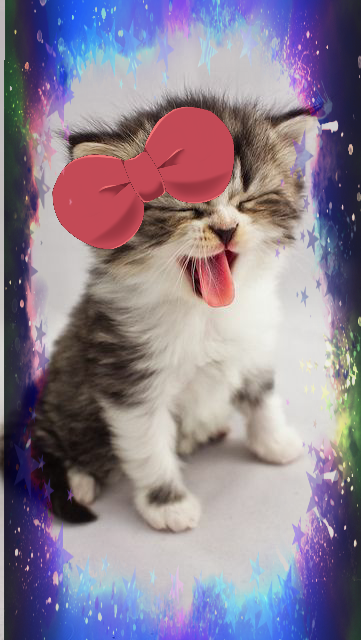 Black Cat Bonjour Tenebres Vieil Ami Shirt Hoodie Sweater Long Sleeve And Tank Top