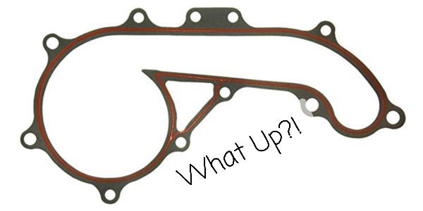 For 1995 2004 Toyota Taa Water Pump Gasket Genuine 58163mw 1999 2002 2001 For Sale Online Ebay Ships from Toyota Fort Worth TX. For 1995 2004 Toyota Taa Water Pump Gasket Genuine 58163mw 1999 2002 2001 For Sale Online Ebay Here are our top-ranked picks including top-selling 96 tacoma water pump gasket.