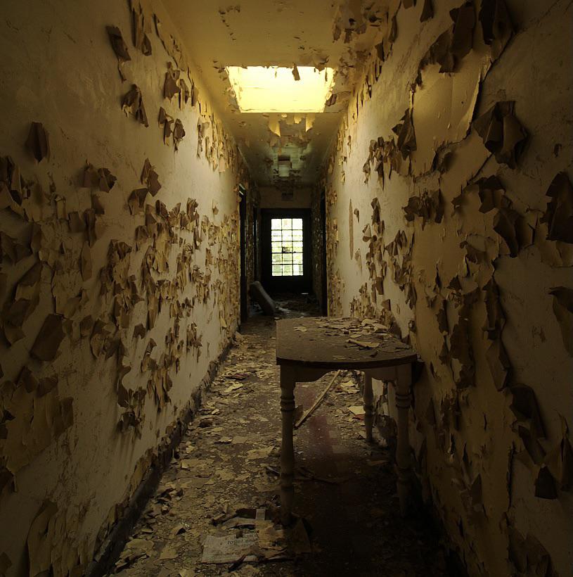 Abandoned apartment building hallway in east cleveland [oc]