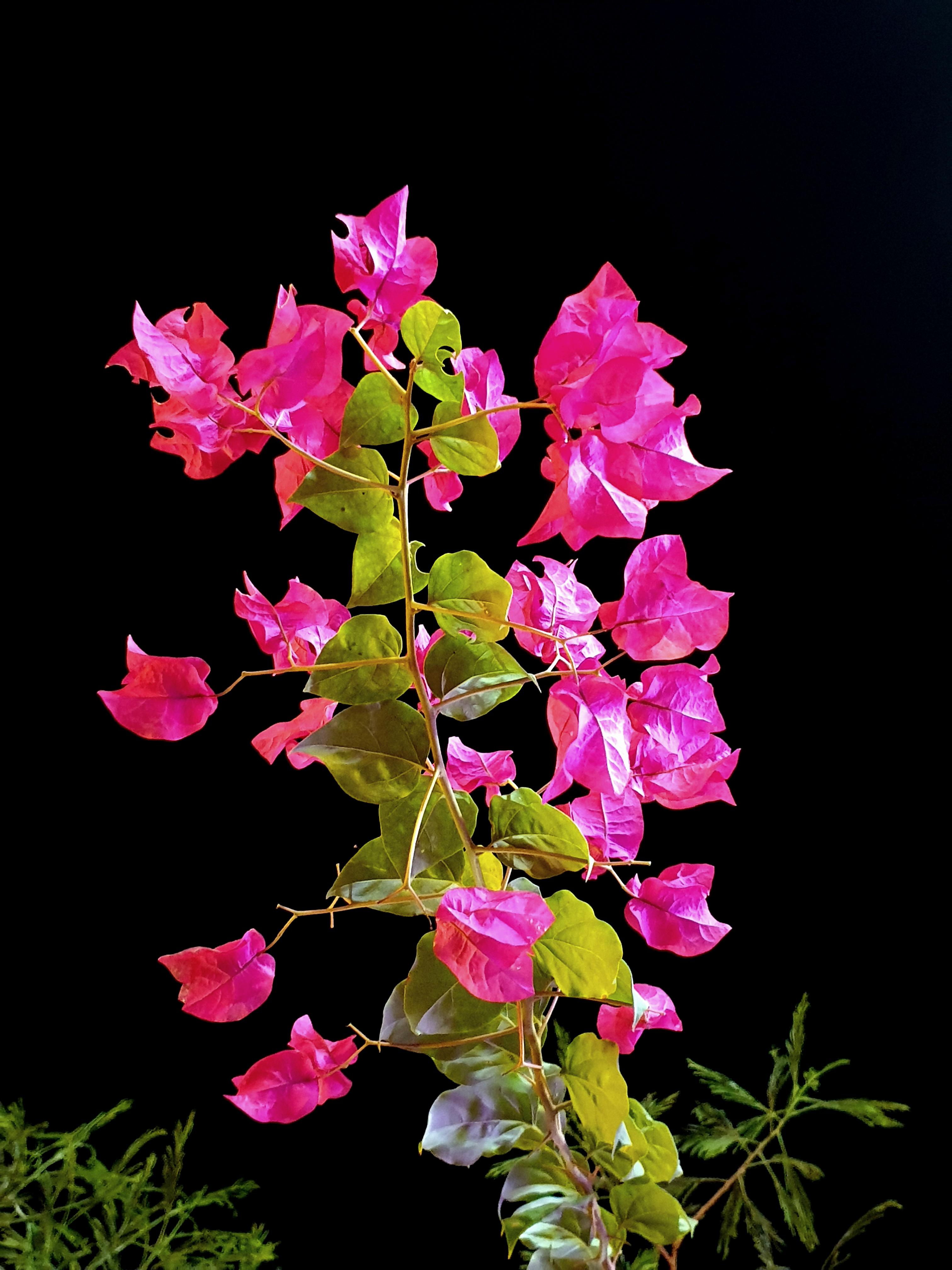 Download full hd milky big moon night background free stock. With Note 9 Little Edit On Background With Snapseed Mobilephotography