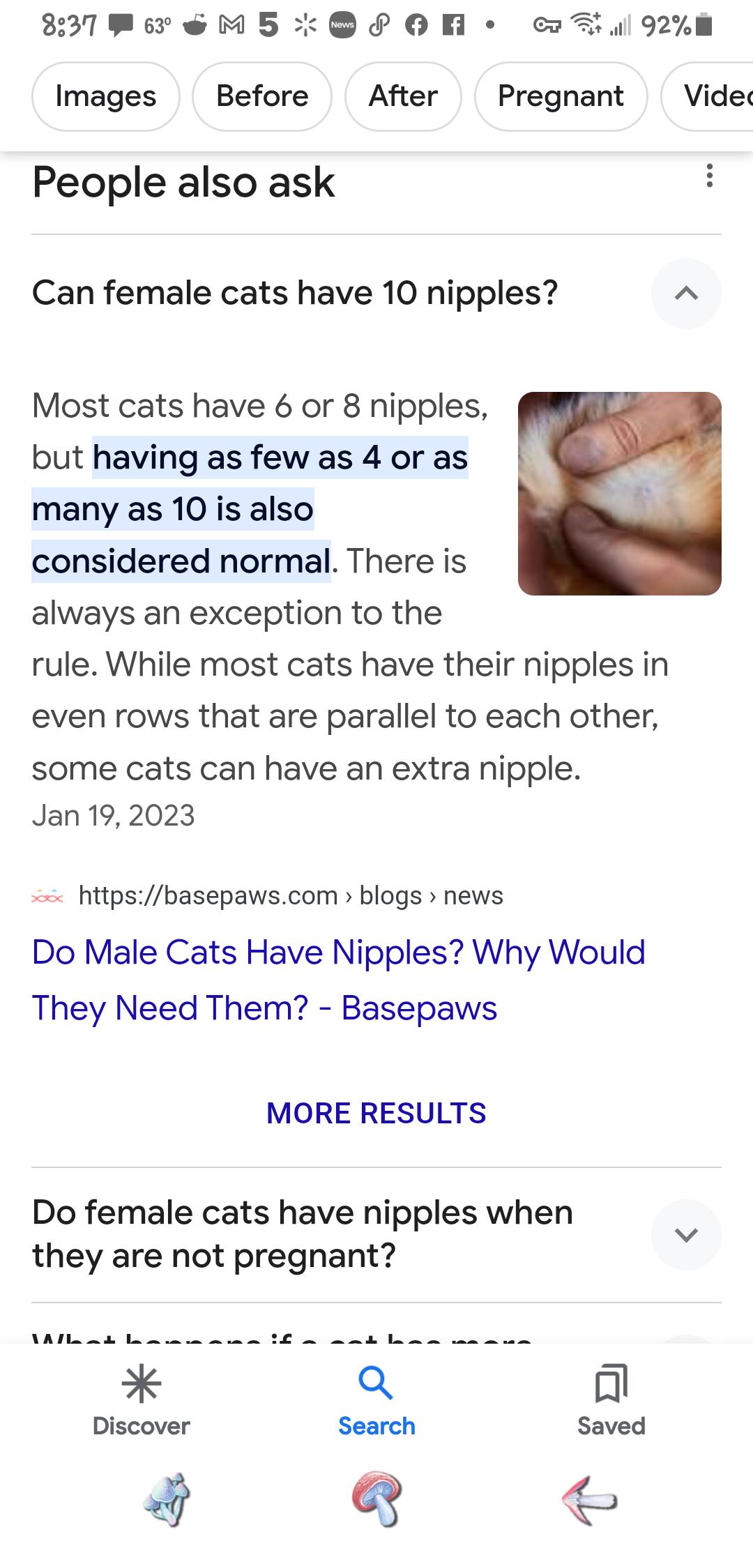 cat losing a ton of hair around his butthind legs and weird nipple thing  on belly : rCATHELP