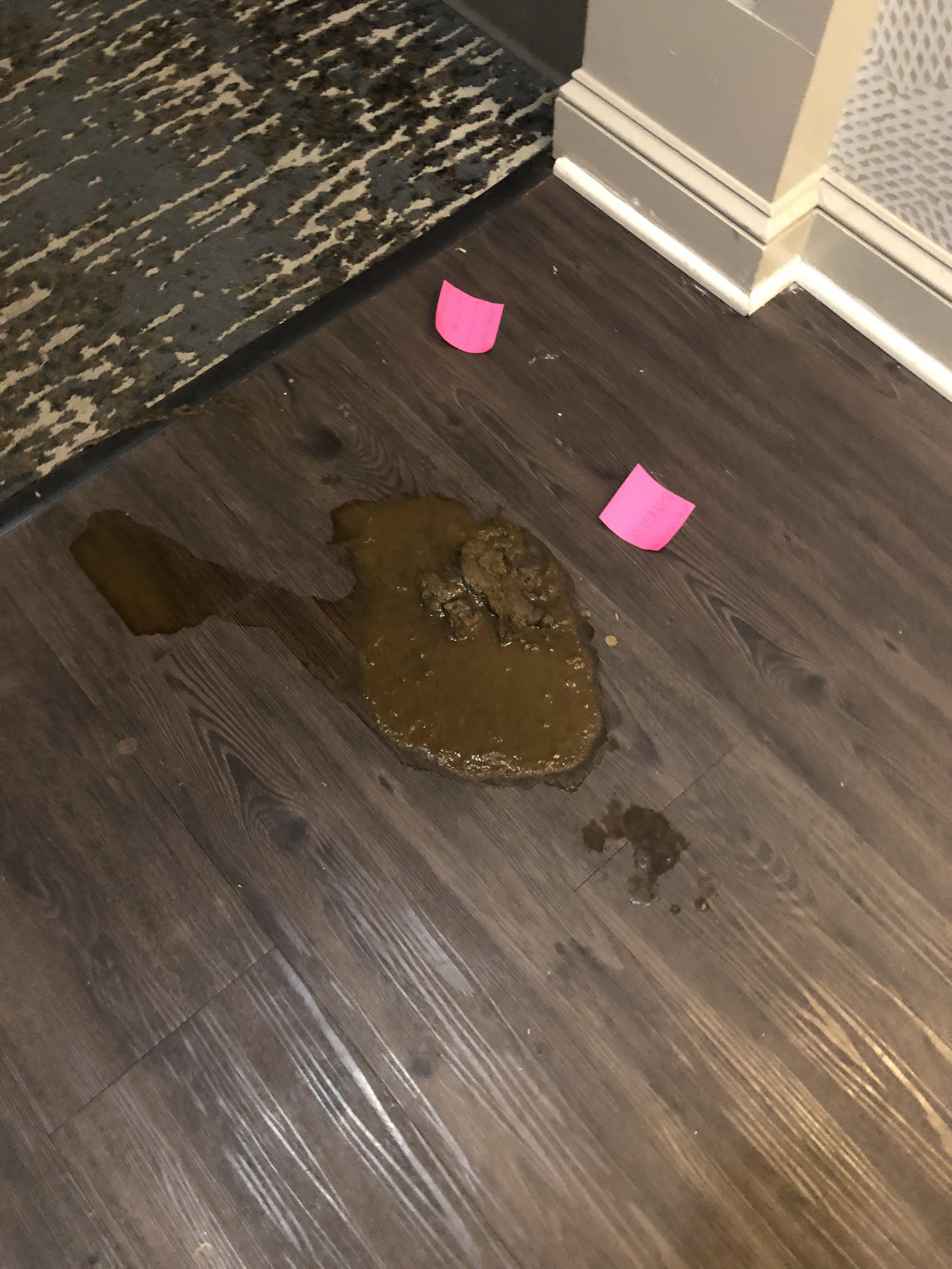 On Keeg A Clean Anized House Saving Money If you dont have a washing machine hand. On Keeg A Clean Anized House Saving Money Get a bucket of warm water mixed with a little bit of dish detergent that does not contain bleach a scrub brush and old rags or more paper towels.